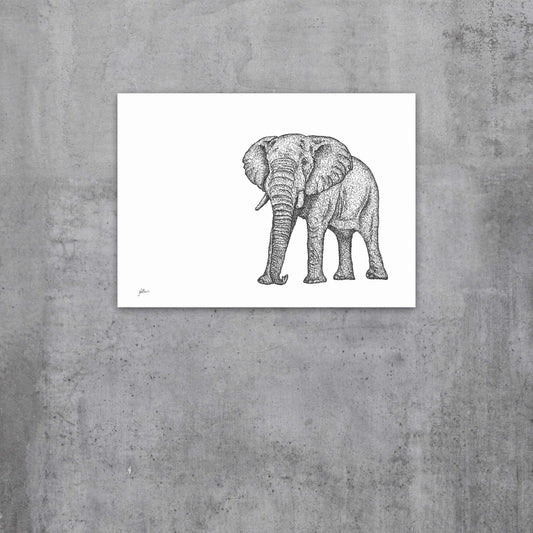 Original Artwork - J Patterson - Elephant