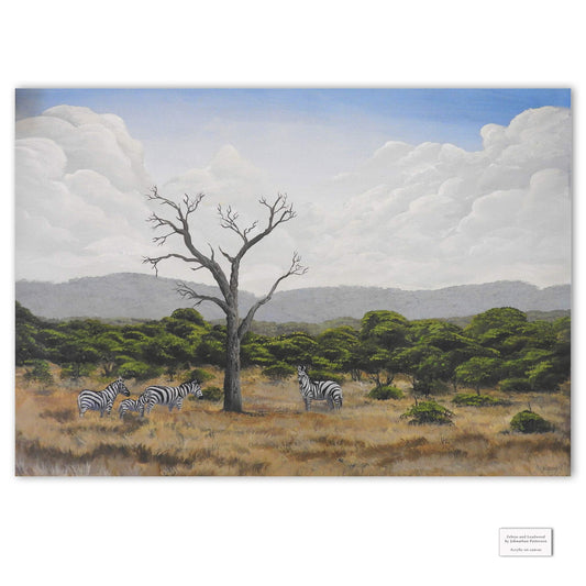 Original Artwork - J Patterson - Kruger National Park