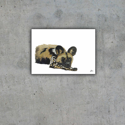 Limited Edition Print Wildlife in colour - African Wild Dog - Waiting game