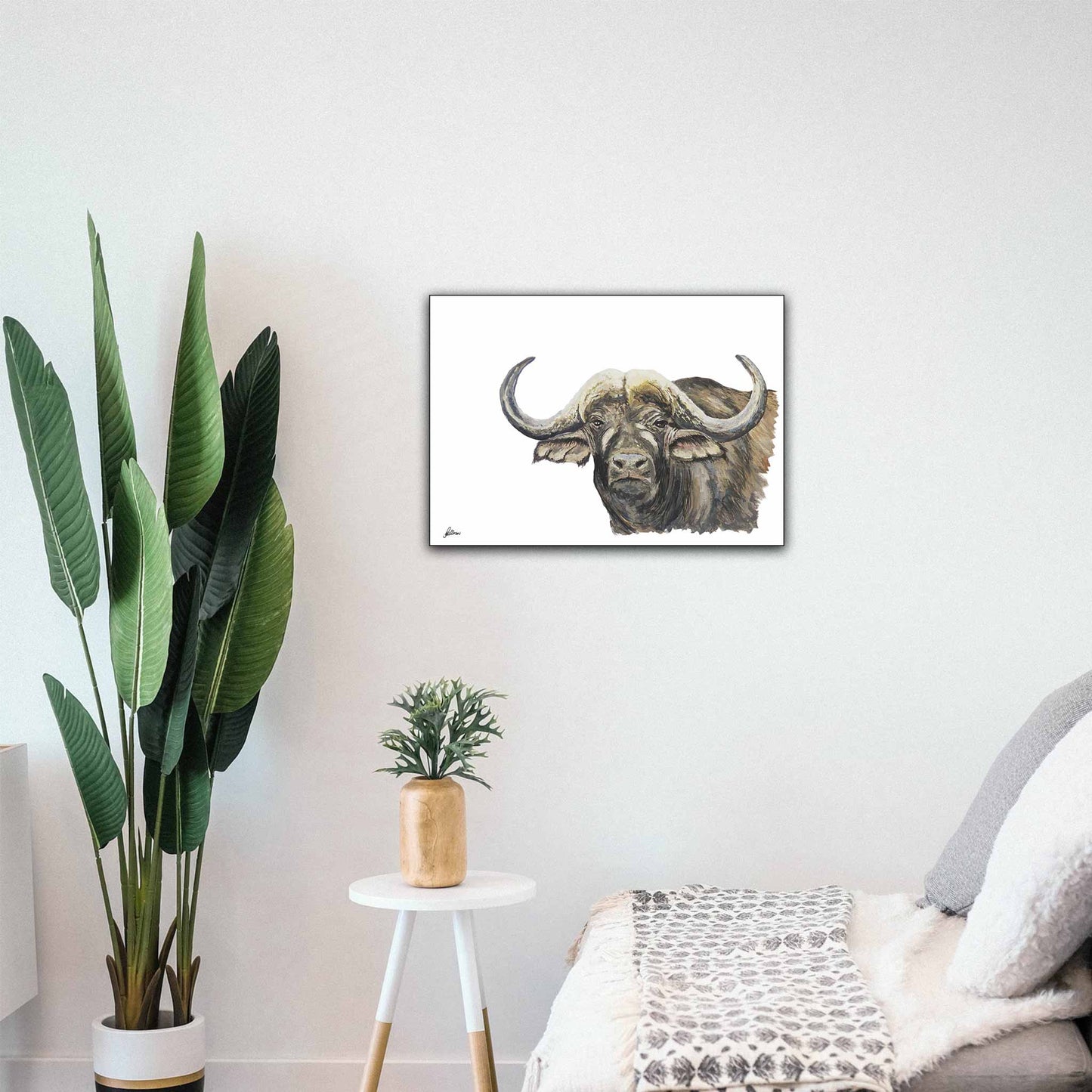 Limited Edition Print Wildlife in colour - African Buffalo