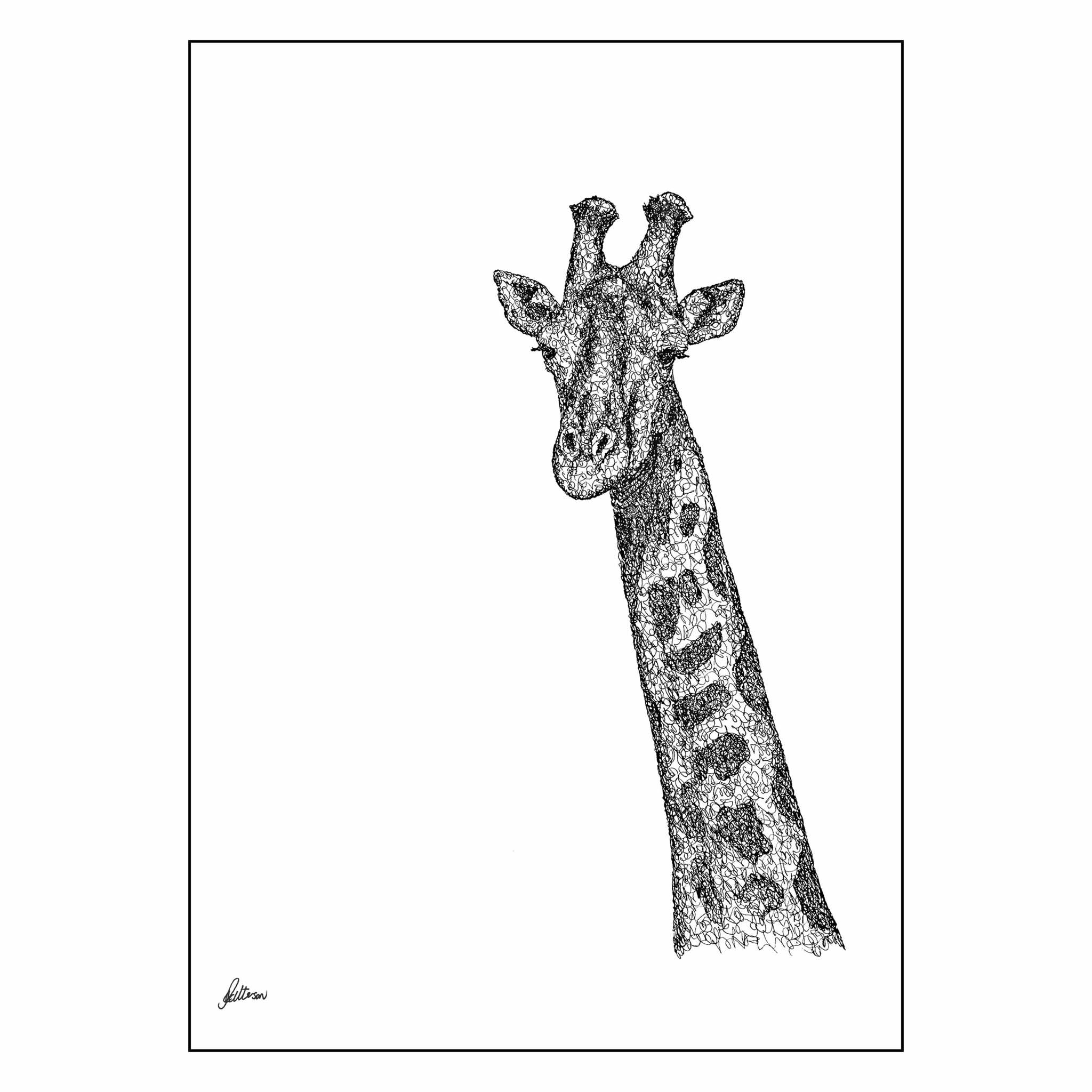 Giraffe Limited Edition Print