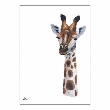 Limited Edition Print Wildlife in colour - Giraffe